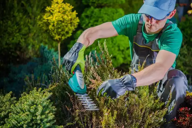 landscaping services Olivette